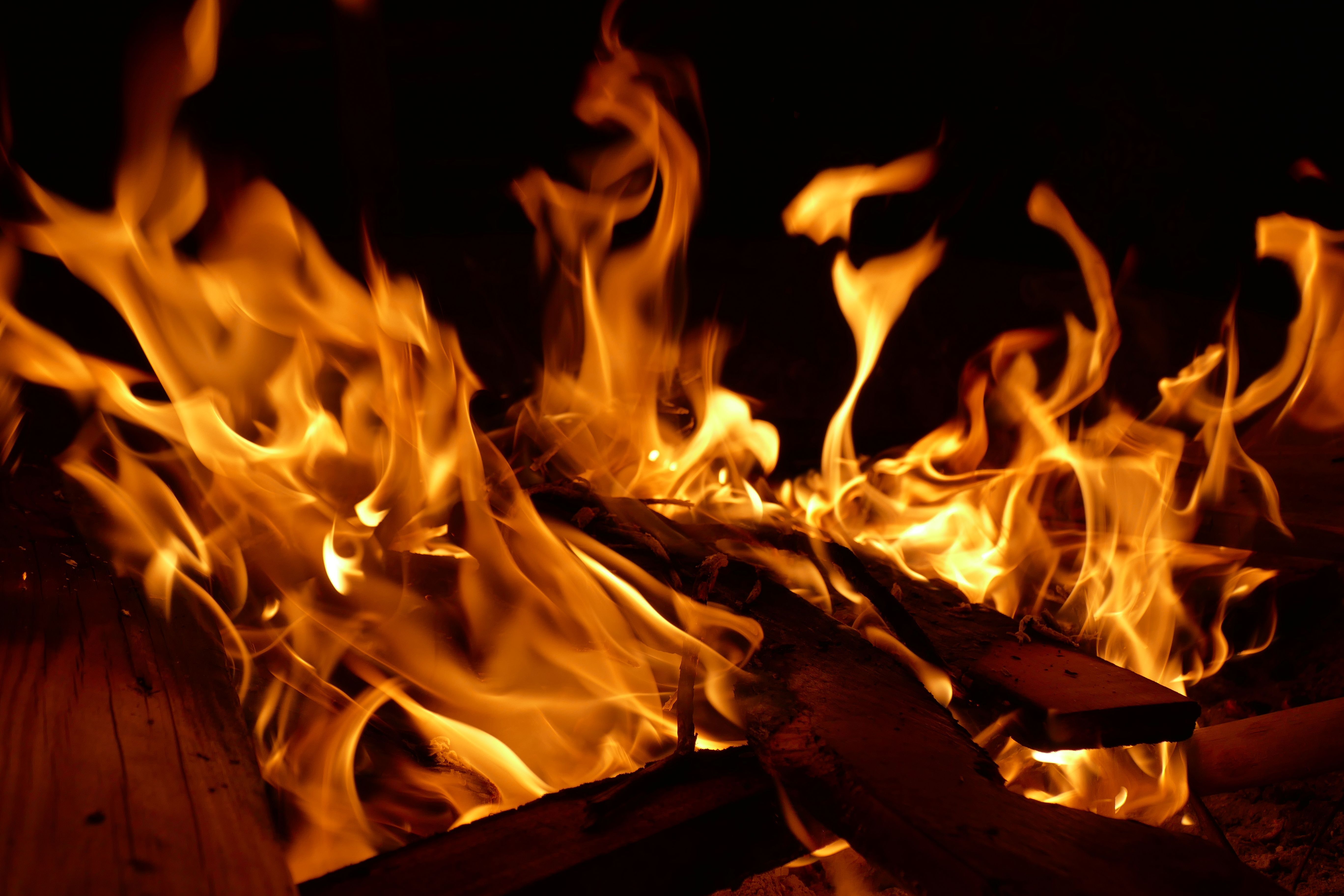 Ab sofort gilt im Thurgau Feuerverbot im Wald. (Bild: Symbolbild)